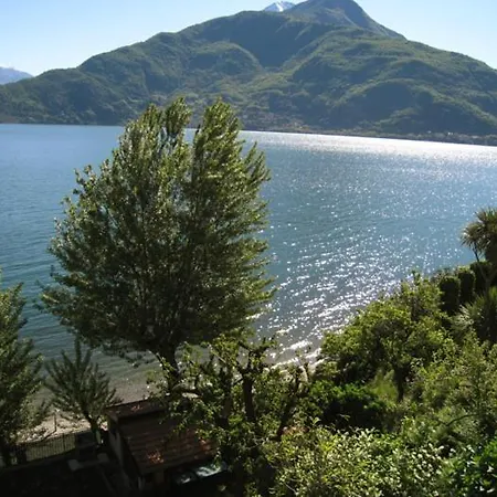 Nido Riva - Rondine *