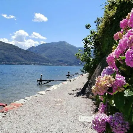 Nido Riva - Rondine Pianello Del Lario
