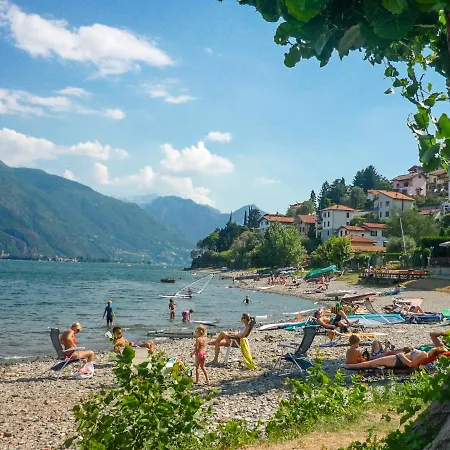 Nido Riva - Rondine *