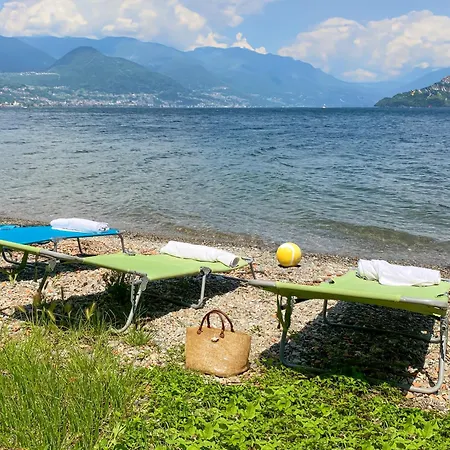 Nido Riva - Rondine *