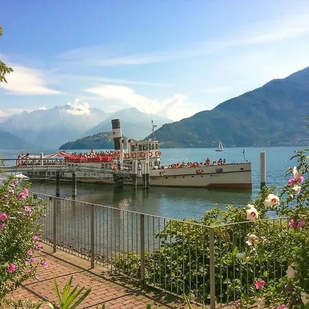 Nido Riva - Rondine Pianello Del Lario