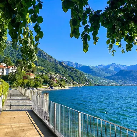 Nido Riva - Rondine Pianello Del Lario