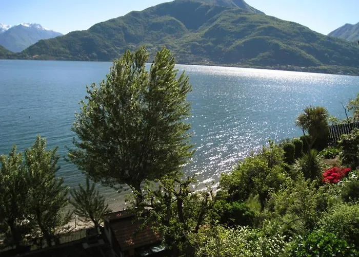 Nido Riva - Rondine *