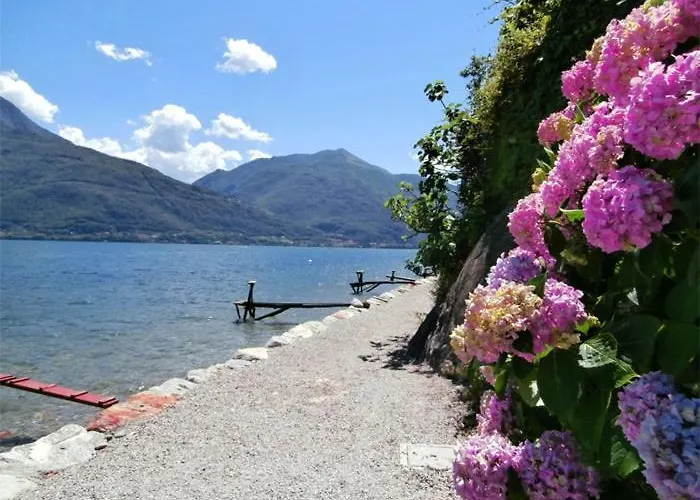 Nido Riva - Rondine Pianello Del Lario