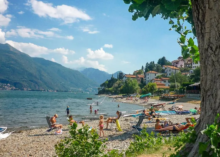 Nido Riva - Rondine *