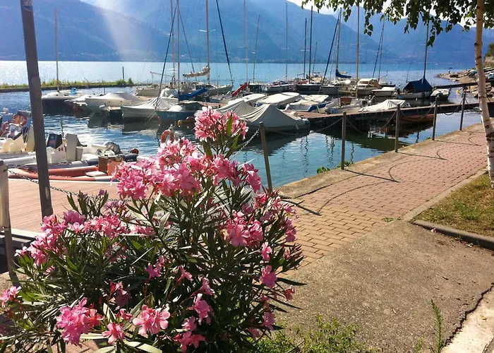 Nido Riva - Rondine *