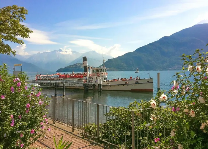 Nido Riva - Rondine Pianello Del Lario