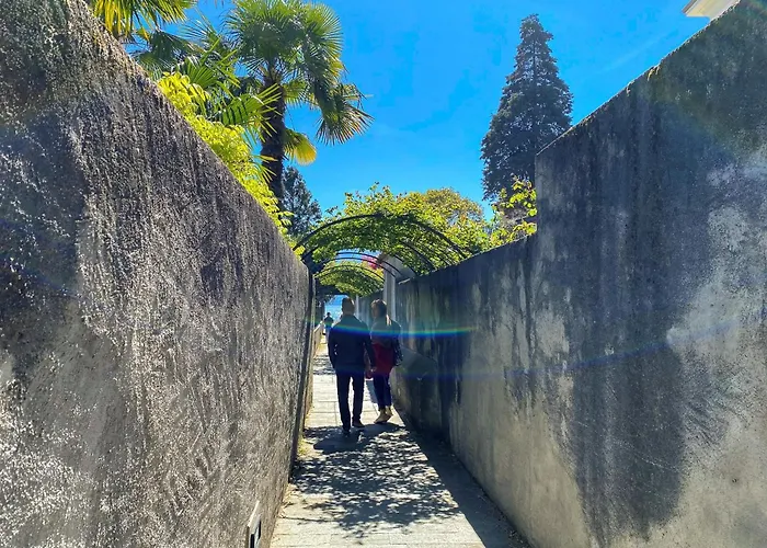 Nido Riva - Rondine Appartement