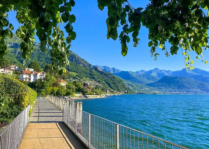 Nido Riva - Rondine Pianello Del Lario