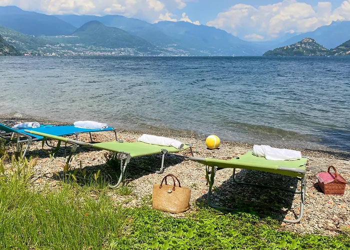 Nido Riva - Rondine *