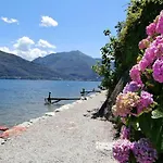 Nido Riva - Rondine Pianello Del Lario