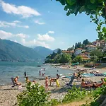 Nido Riva - Rondine *